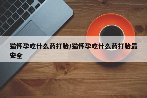 流产药在线购买猫怀孕吃什么药打胎/猫怀孕吃什么药打胎最安全