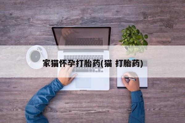 流产药在线购买家猫怀孕打胎药(猫 打胎药)